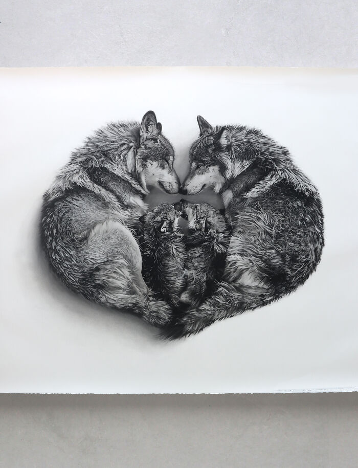 20 Stunning Charcoal Drawings Of Animals Created By A Father-Daughter Duo