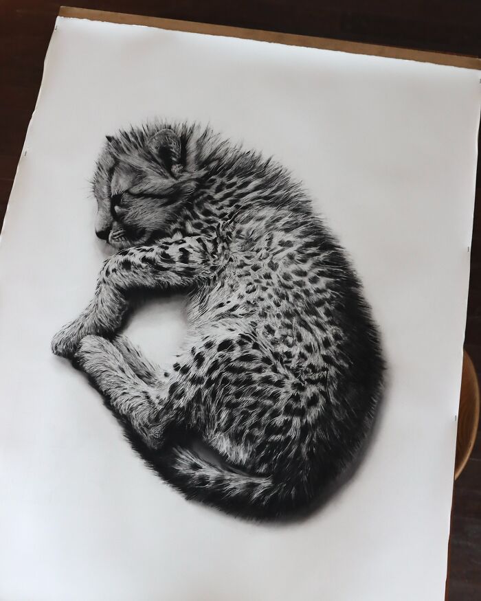 20 Stunning Charcoal Drawings Of Animals Created By A Father-Daughter Duo