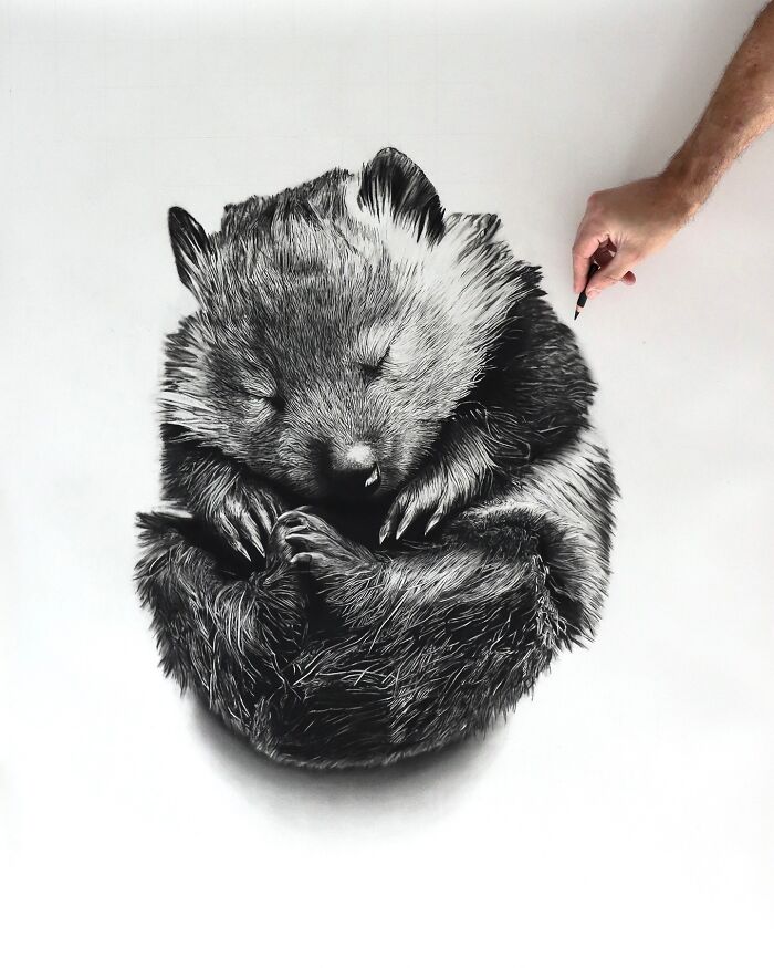 20 Stunning Charcoal Drawings Of Animals Created By A Father-Daughter Duo