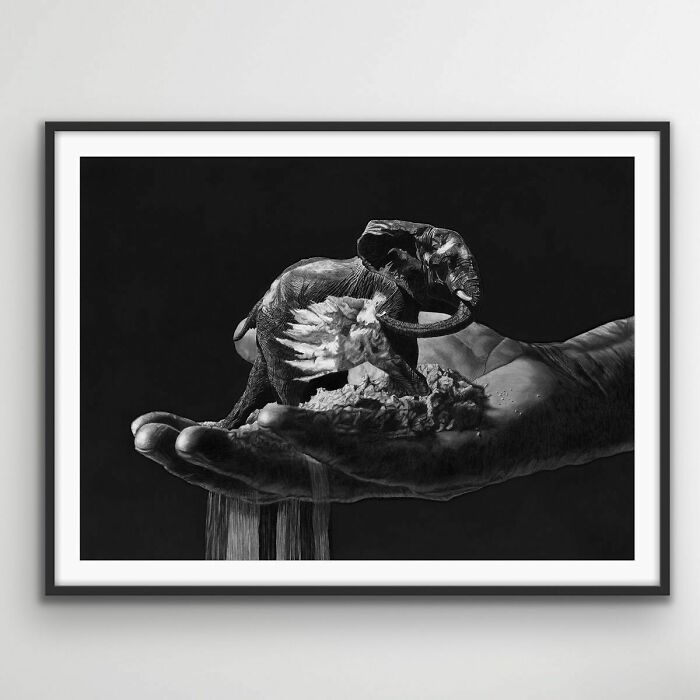 20 Stunning Charcoal Drawings Of Animals Created By A Father-Daughter Duo