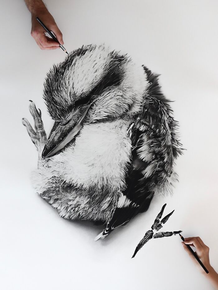 20 Stunning Charcoal Drawings Of Animals Created By A Father-Daughter Duo