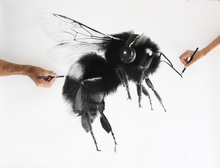 20 Stunning Charcoal Drawings Of Animals Created By A Father-Daughter Duo
