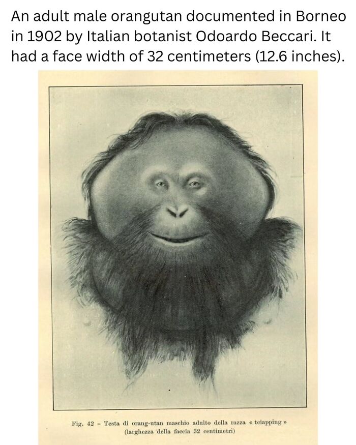 &ldquo;History Cool Kids&rdquo;: 58 Fascinating Photos That Offer A New Perspective On The Past (New Pics)