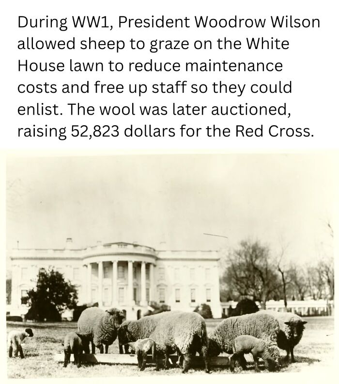 &ldquo;History Cool Kids&rdquo;: 58 Fascinating Photos That Offer A New Perspective On The Past (New Pics)