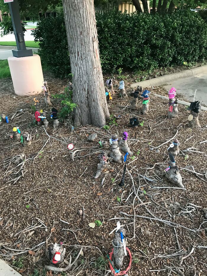 63 Genius Ways Creative People Turned Trash Into Something Surprisingly Useful Or Artistic