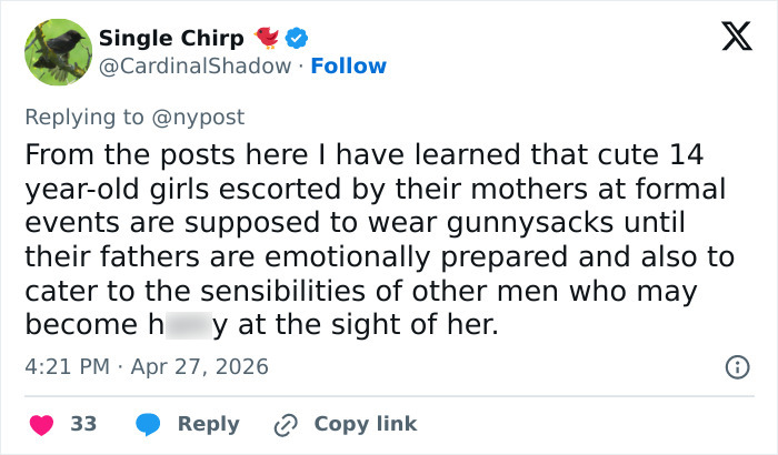 Pink Under Fire Over 14YO Daughter Willow’s “Inappropriate” Red Carpet Look