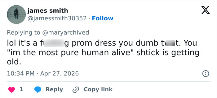 Pink Under Fire Over 14YO Daughter Willow’s “Inappropriate” Red Carpet Look