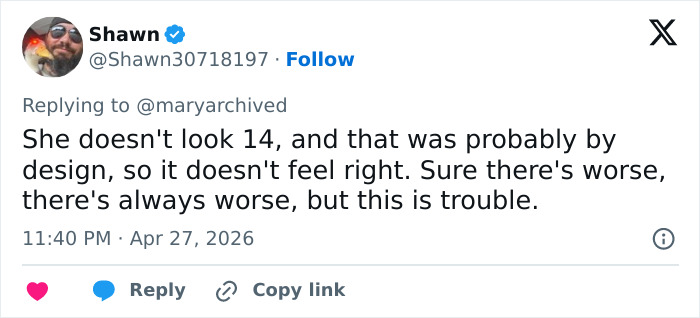 Pink Under Fire Over 14YO Daughter Willow’s “Inappropriate” Red Carpet Look