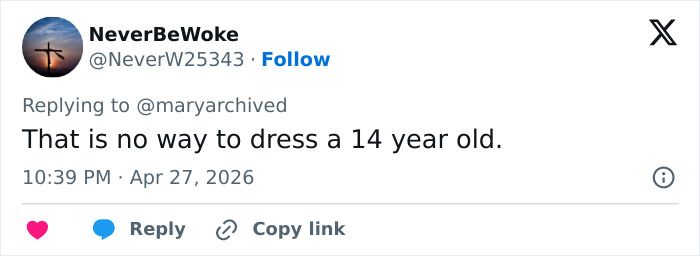 Pink Under Fire Over 14YO Daughter Willow’s “Inappropriate” Red Carpet Look