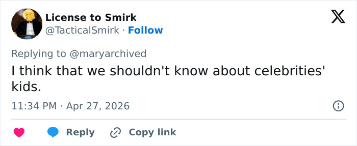 Pink Under Fire Over 14YO Daughter Willow’s “Inappropriate” Red Carpet Look