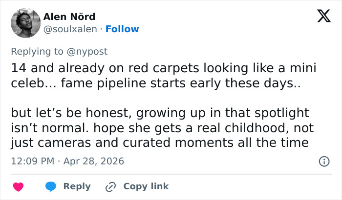 Pink Under Fire Over 14YO Daughter Willow’s “Inappropriate” Red Carpet Look