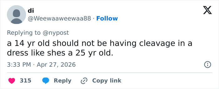 Pink Under Fire Over 14YO Daughter Willow’s “Inappropriate” Red Carpet Look