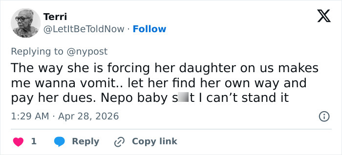 Pink Under Fire Over 14YO Daughter Willow’s “Inappropriate” Red Carpet Look