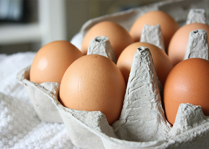 Scientists Discover Life-Changing Side Effect Of Eating Eggs For Alzheimer Treatment