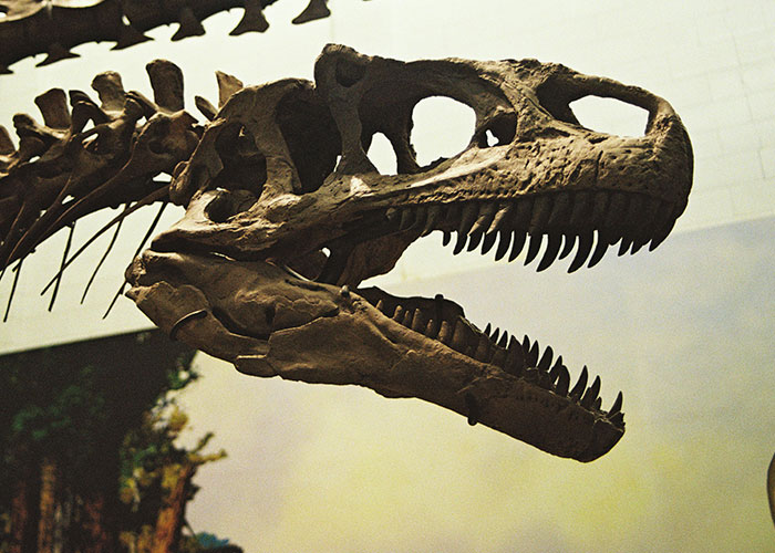 79 Times People Got Exclusive Access To Places And Couldn&rsquo;t Believe Their Luck