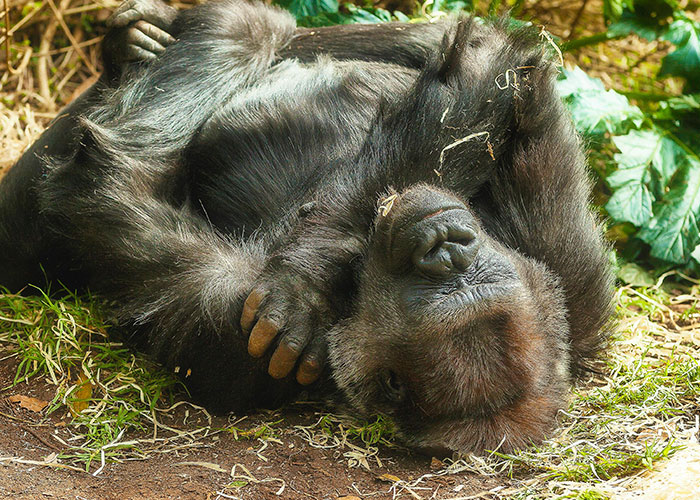 79 Times People Got Exclusive Access To Places And Couldn&rsquo;t Believe Their Luck