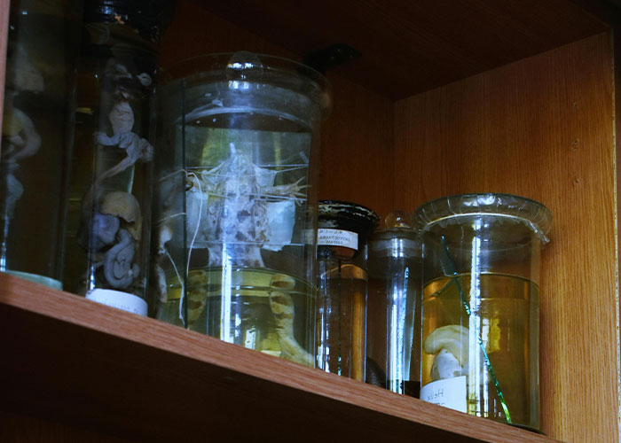 79 Times People Got Exclusive Access To Places And Couldn&rsquo;t Believe Their Luck