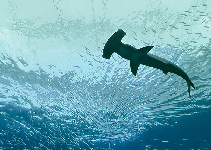 79 Times People Got Exclusive Access To Places And Couldn&rsquo;t Believe Their Luck