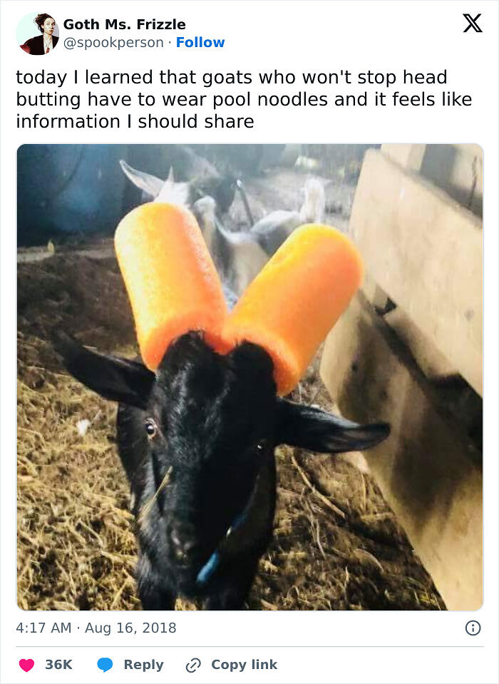 &ldquo;Live On A Farm, They Said. It Would Be Fun, They Said&rdquo;: 61 Pics That Won&rsquo;t Make Sense To City Kids