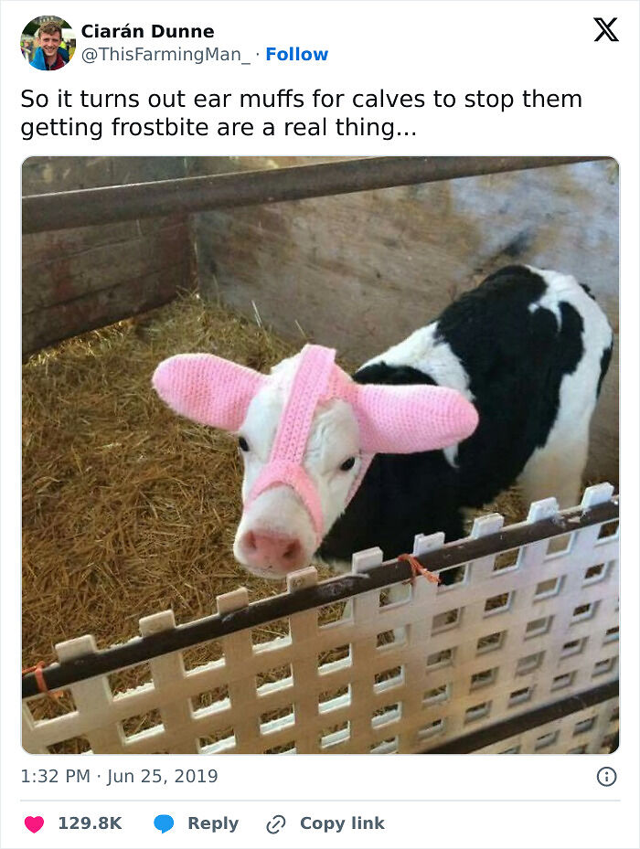 &ldquo;Live On A Farm, They Said. It Would Be Fun, They Said&rdquo;: 61 Pics That Won&rsquo;t Make Sense To City Kids