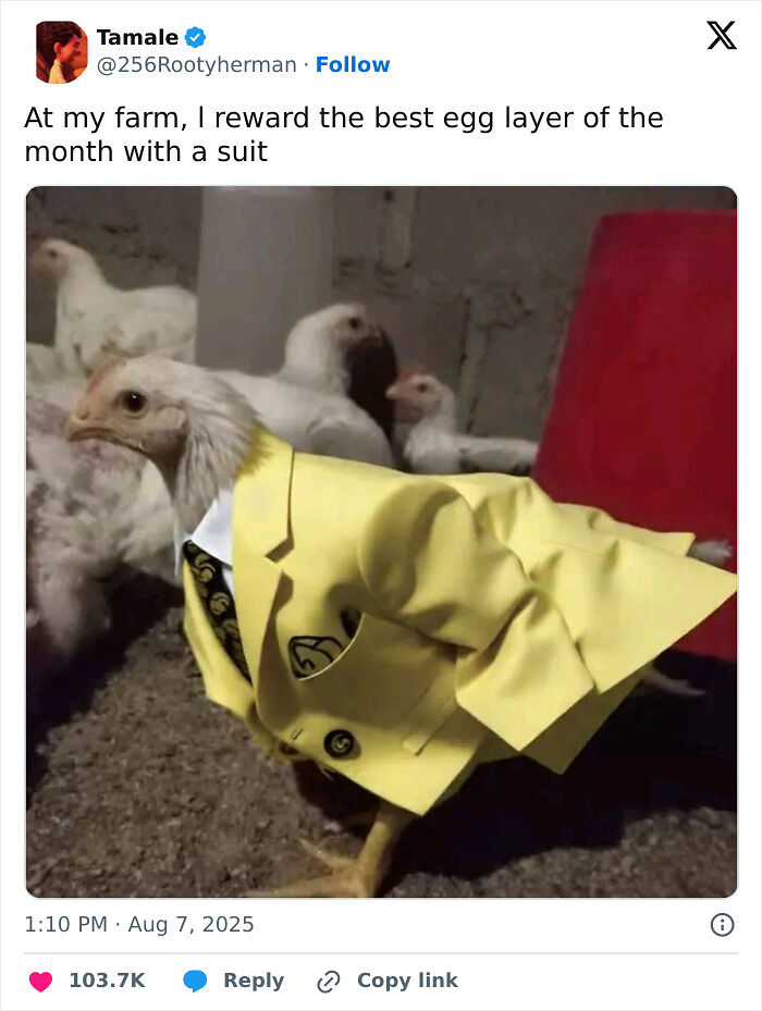 &ldquo;Live On A Farm, They Said. It Would Be Fun, They Said&rdquo;: 61 Pics That Won&rsquo;t Make Sense To City Kids