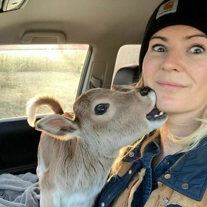 &ldquo;Live On A Farm, They Said. It Would Be Fun, They Said&rdquo;: 61 Pics That Won&rsquo;t Make Sense To City Kids