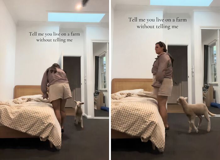 &ldquo;Live On A Farm, They Said. It Would Be Fun, They Said&rdquo;: 61 Pics That Won&rsquo;t Make Sense To City Kids