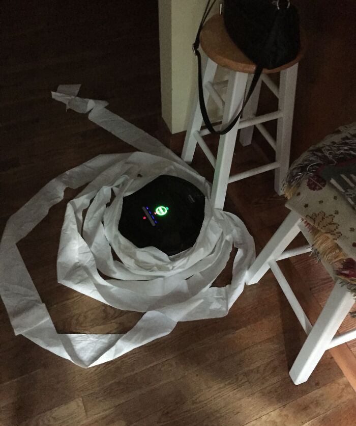 57 Troublemakers Who Were Guilty As Charged But Their Hilarity Got Them Off The Hook