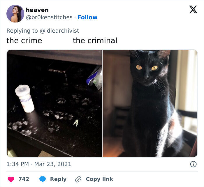 57 Troublemakers Who Were Guilty As Charged But Their Hilarity Got Them Off The Hook