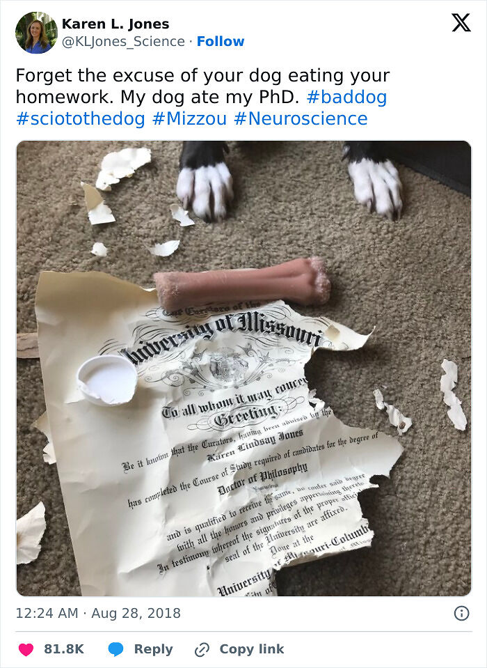 57 Troublemakers Who Were Guilty As Charged But Their Hilarity Got Them Off The Hook