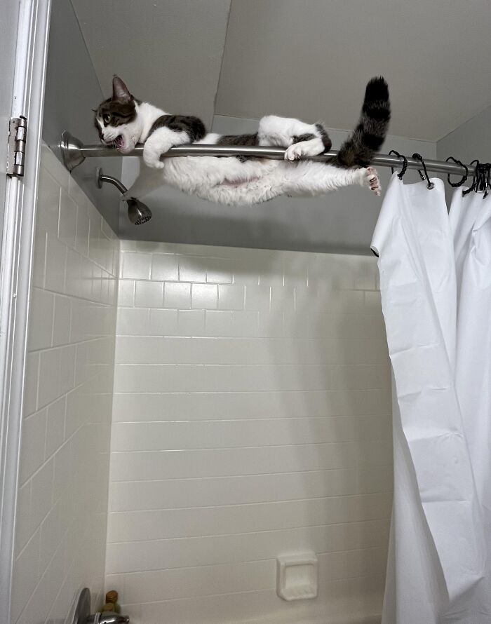 57 Troublemakers Who Were Guilty As Charged But Their Hilarity Got Them Off The Hook