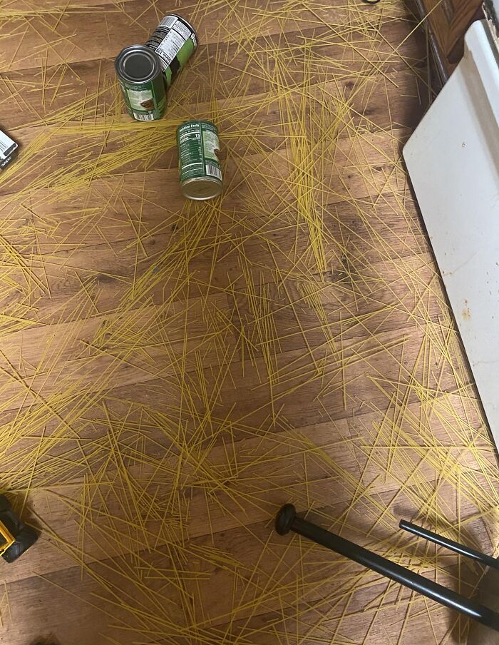 57 Troublemakers Who Were Guilty As Charged But Their Hilarity Got Them Off The Hook