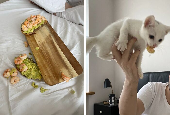 57 Troublemakers Who Were Guilty As Charged But Their Hilarity Got Them Off The Hook