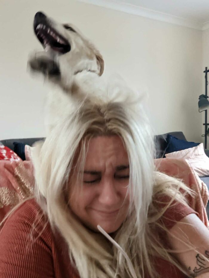 57 Troublemakers Who Were Guilty As Charged But Their Hilarity Got Them Off The Hook