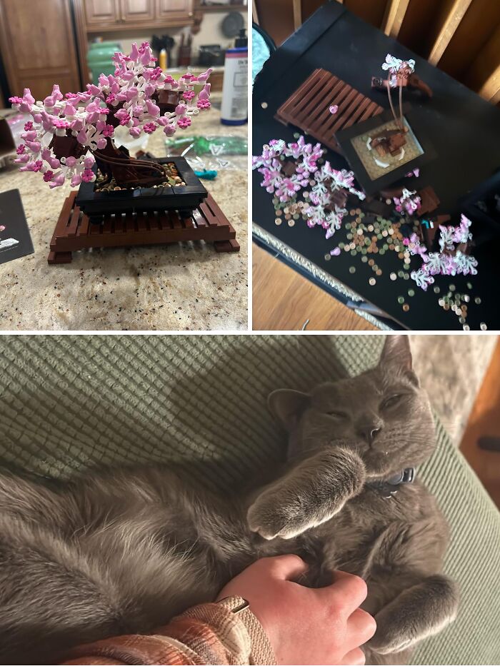 57 Troublemakers Who Were Guilty As Charged But Their Hilarity Got Them Off The Hook