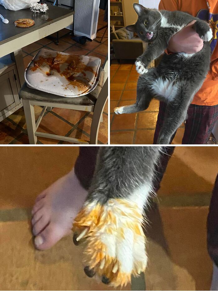 57 Troublemakers Who Were Guilty As Charged But Their Hilarity Got Them Off The Hook