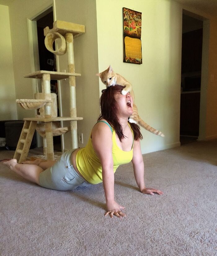 57 Troublemakers Who Were Guilty As Charged But Their Hilarity Got Them Off The Hook