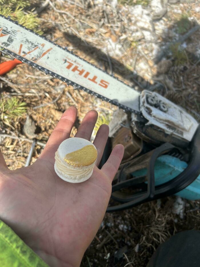 89 Bakers Whose Amazing Creations Deserve Michelin Stars (New Pics)