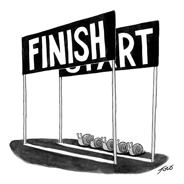 61 Witty One-Panel Comics By Tom Toro (New Pics)