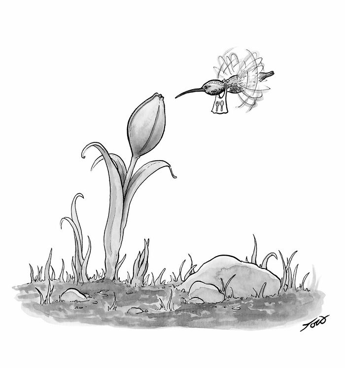 61 Witty One-Panel Comics By Tom Toro (New Pics)