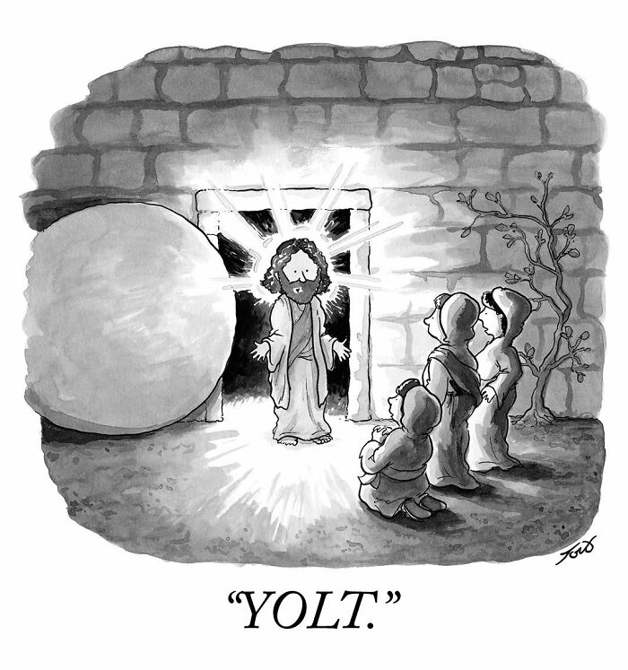 61 Witty One-Panel Comics By Tom Toro (New Pics)