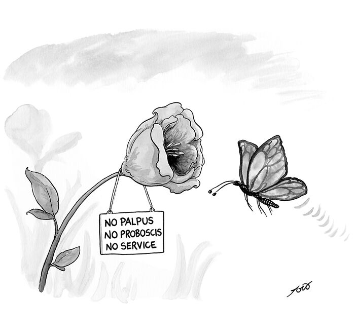 61 Witty One-Panel Comics By Tom Toro (New Pics)