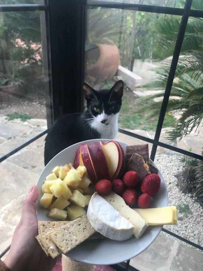 59 Girl Dinner Pics That Come With A Side Of Stories We Were Not Prepared For