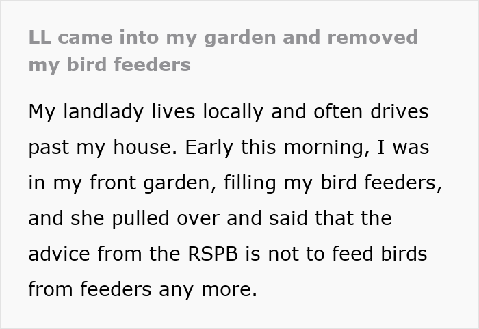 Tenant Mortified After Noticing Landlady Removes Her Bird Feeders, Considers Involving Police