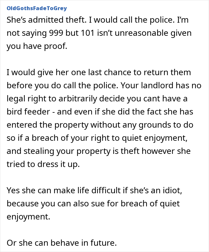 Tenant Mortified After Noticing Landlady Removes Her Bird Feeders, Considers Involving Police