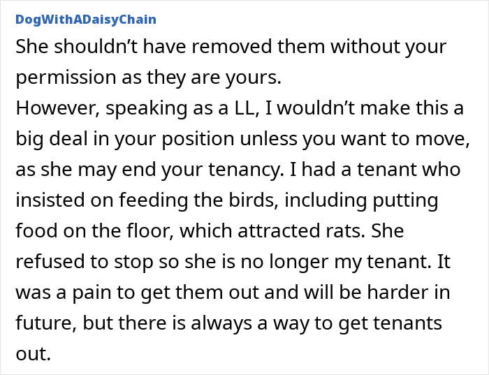 Tenant Mortified After Noticing Landlady Removes Her Bird Feeders, Considers Involving Police