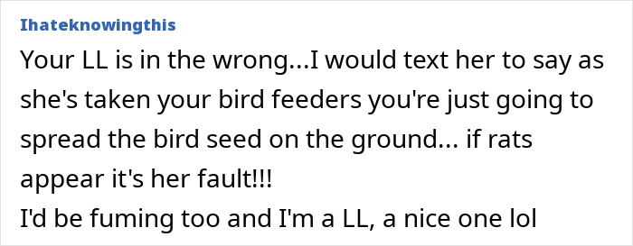 Tenant Mortified After Noticing Landlady Removes Her Bird Feeders, Considers Involving Police
