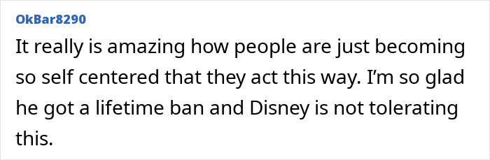 Disney World Fan Slapped With The Ultimate Karma After Cutting In Line To Get Photo With Character