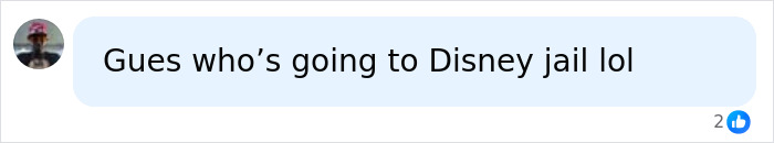 Disney World Fan Slapped With The Ultimate Karma After Cutting In Line To Get Photo With Character