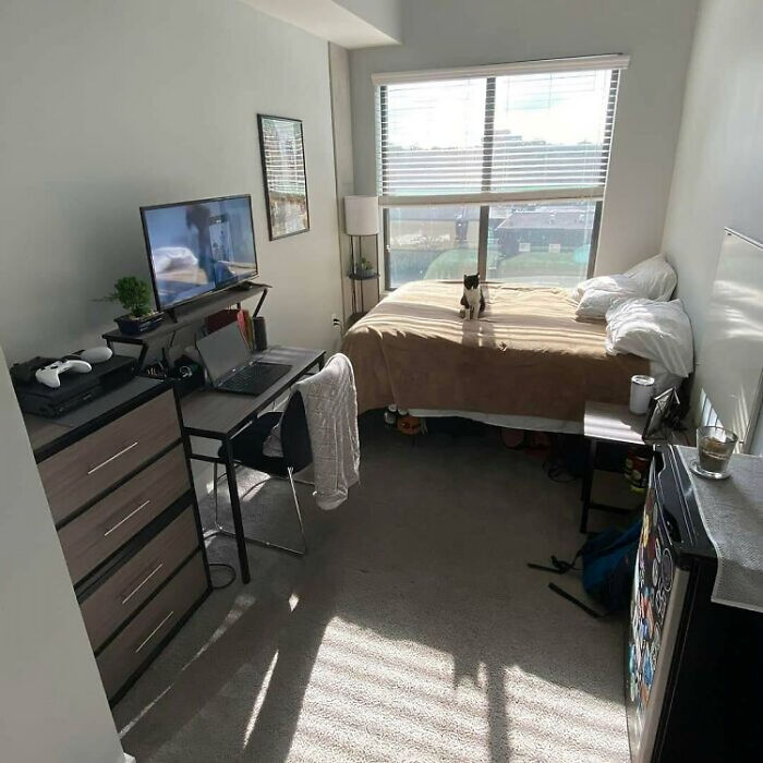 76 Unique Bachelor Pads That Might Make You Laugh, Cringe, And Maybe Take Notes